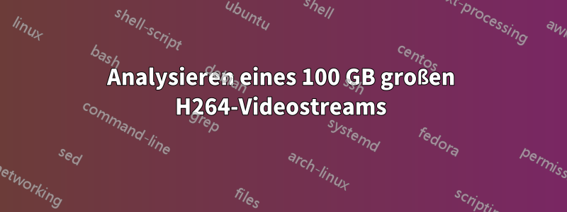 Analysieren eines 100 GB großen H264-Videostreams