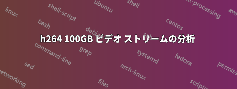 h264 100GB ビデオ ストリームの分析