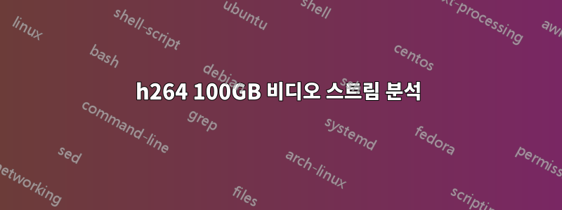 h264 100GB 비디오 스트림 분석