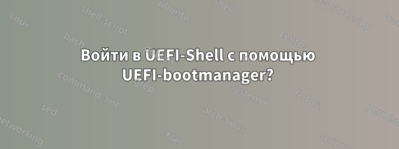 Войти в UEFI-Shell с помощью UEFI-bootmanager?