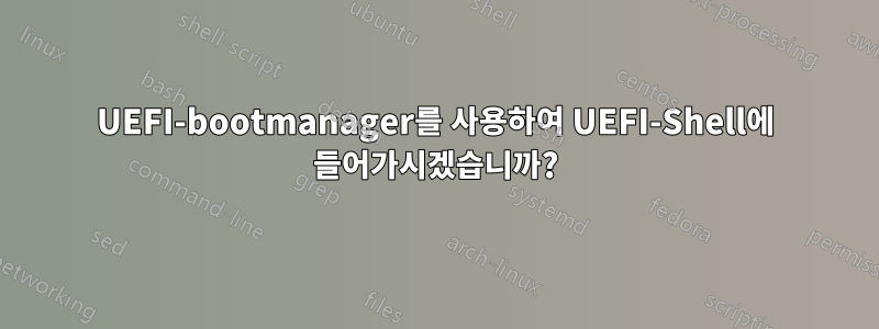 UEFI-bootmanager를 사용하여 UEFI-Shell에 들어가시겠습니까?