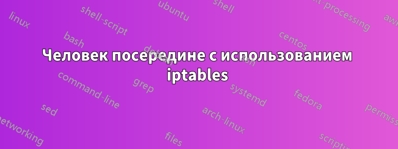 Человек посередине с использованием iptables