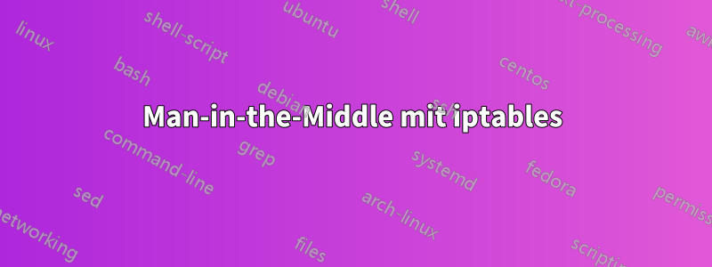 Man-in-the-Middle mit iptables