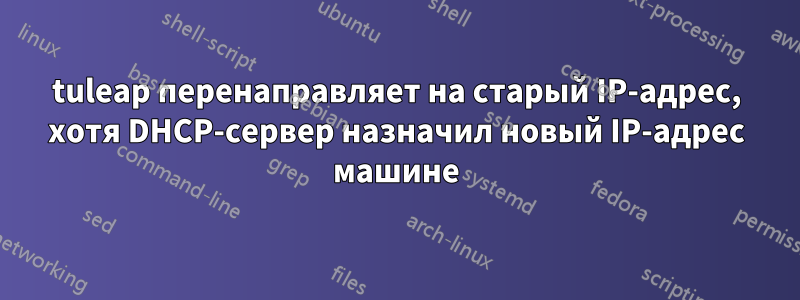 tuleap перенаправляет на старый IP-адрес, хотя DHCP-сервер назначил новый IP-адрес машине