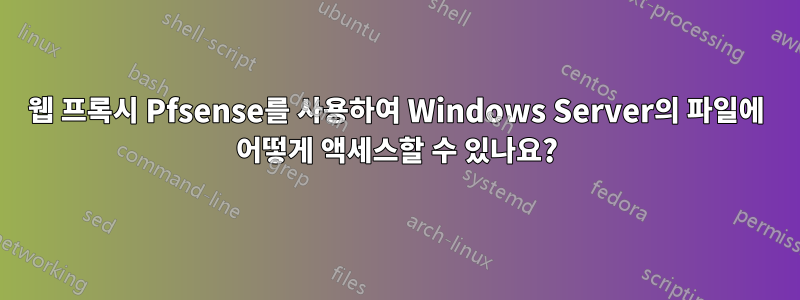 웹 프록시 Pfsense를 사용하여 Windows Server의 파일에 어떻게 액세스할 수 있나요?