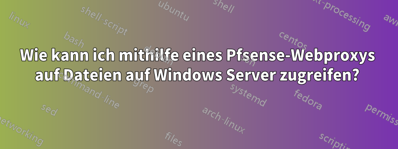 Wie kann ich mithilfe eines Pfsense-Webproxys auf Dateien auf Windows Server zugreifen?