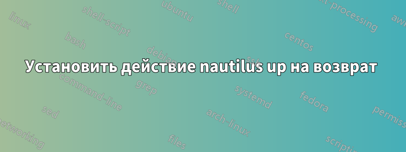 Установить действие nautilus up на возврат