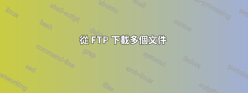 從 FTP 下載多個文件