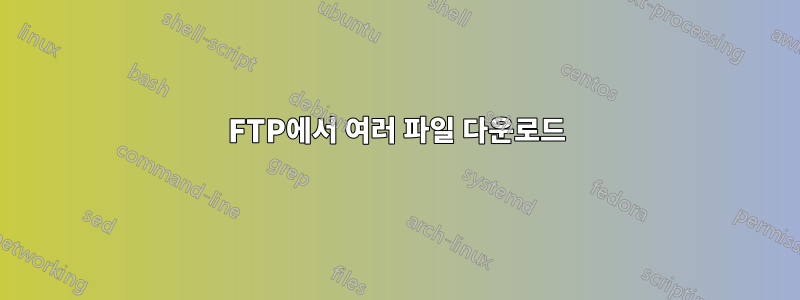 FTP에서 여러 파일 다운로드