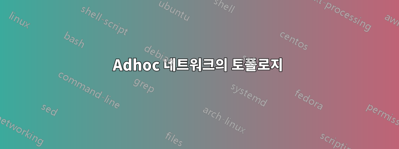 Adhoc 네트워크의 토폴로지