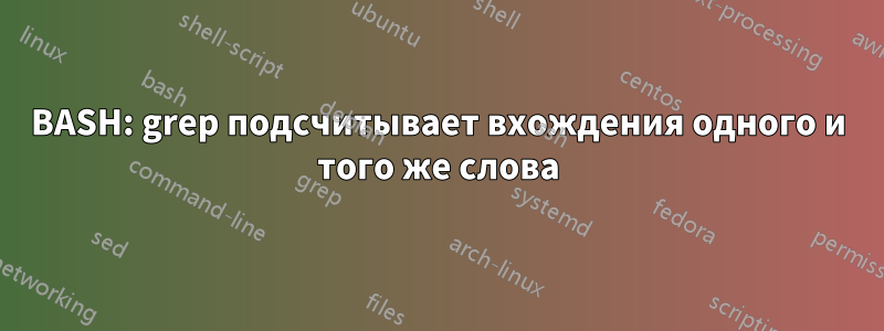 BASH: grep подсчитывает вхождения одного и того же слова