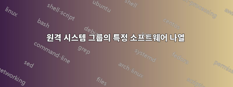 원격 시스템 그룹의 특정 소프트웨어 나열