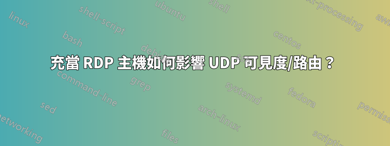 充當 RDP 主機如何影響 UDP 可見度/路由？