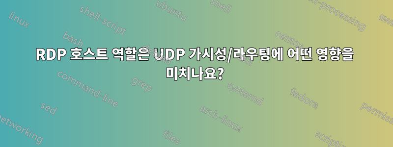 RDP 호스트 역할은 UDP 가시성/라우팅에 어떤 영향을 미치나요?