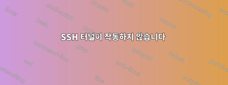 SSH 터널이 작동하지 않습니다