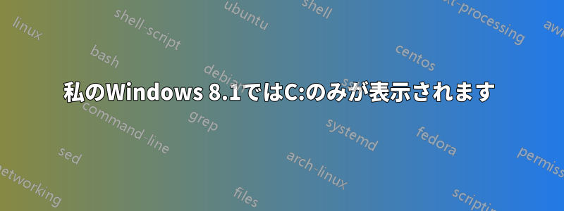 私のWindows 8.1ではC:のみが表示されます