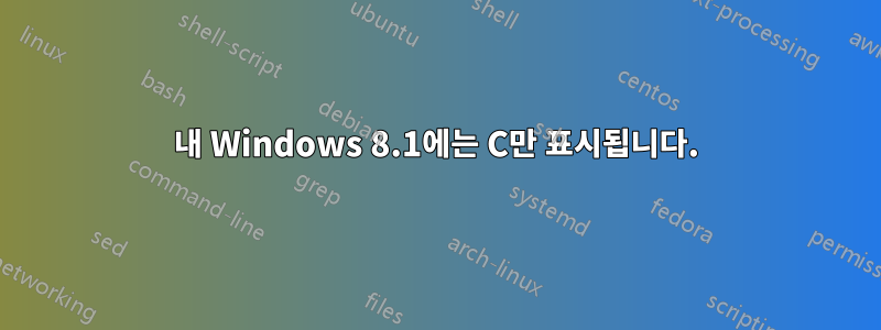 내 Windows 8.1에는 C만 표시됩니다.