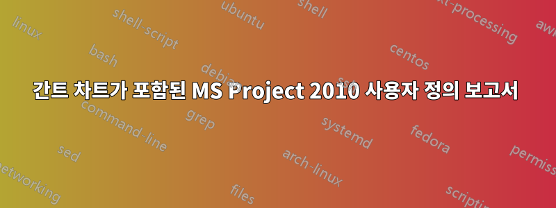 간트 차트가 포함된 MS Project 2010 사용자 정의 보고서