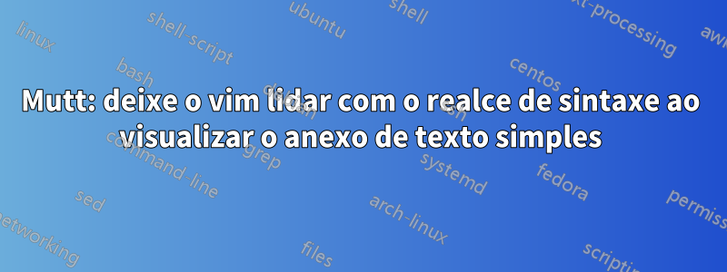 Mutt: deixe o vim lidar com o realce de sintaxe ao visualizar o anexo de texto simples