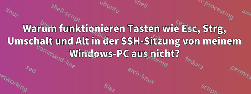 Warum funktionieren Tasten wie Esc, Strg, Umschalt und Alt in der SSH-Sitzung von meinem Windows-PC aus nicht?