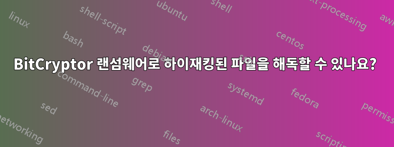 BitCryptor 랜섬웨어로 하이재킹된 파일을 해독할 수 있나요?