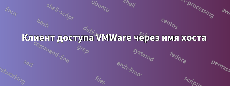 Клиент доступа VMWare через имя хоста