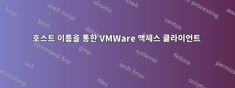 호스트 이름을 통한 VMWare 액세스 클라이언트