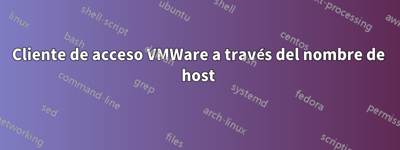 Cliente de acceso VMWare a través del nombre de host