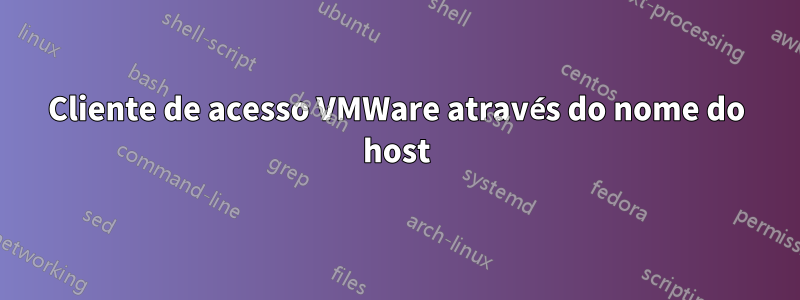 Cliente de acesso VMWare através do nome do host