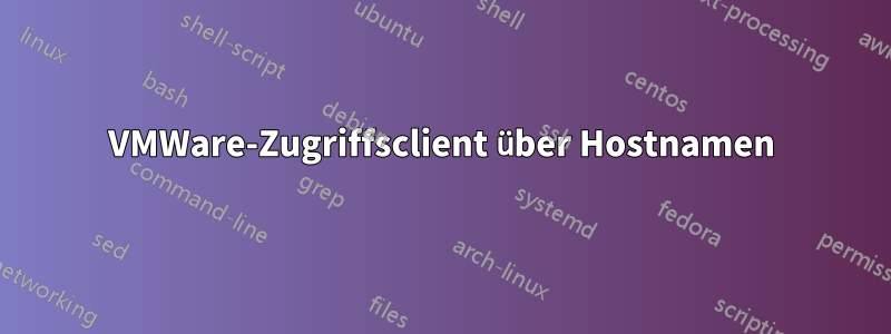 VMWare-Zugriffsclient über Hostnamen