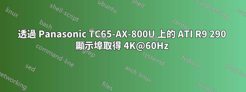 透過 Panasonic TC65-AX-800U 上的 ATI R9 290 顯示埠取得 4K@60Hz