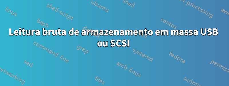 Leitura bruta de armazenamento em massa USB ou SCSI