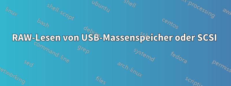 RAW-Lesen von USB-Massenspeicher oder SCSI