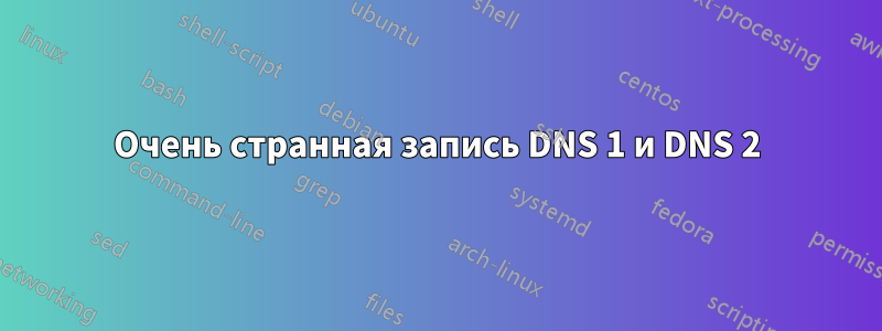 Очень странная запись DNS 1 и DNS 2