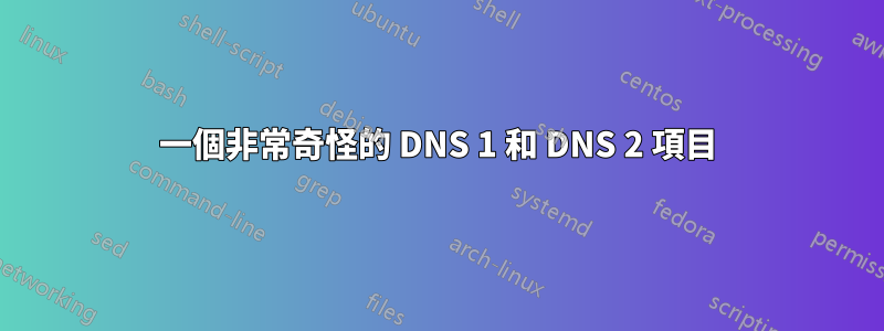 一個非常奇怪的 DNS 1 和 DNS 2 項目