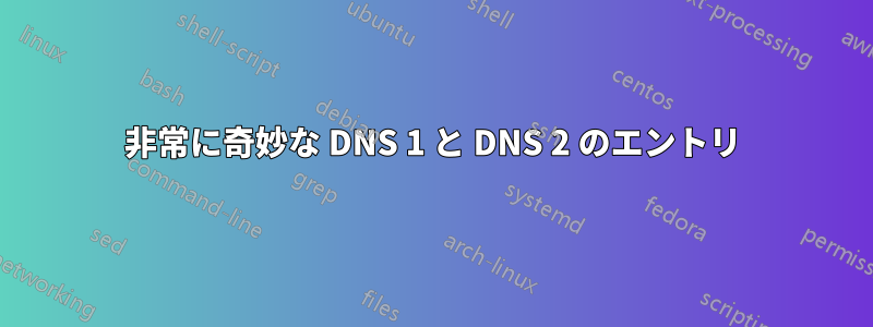 非常に奇妙な DNS 1 と DNS 2 のエントリ