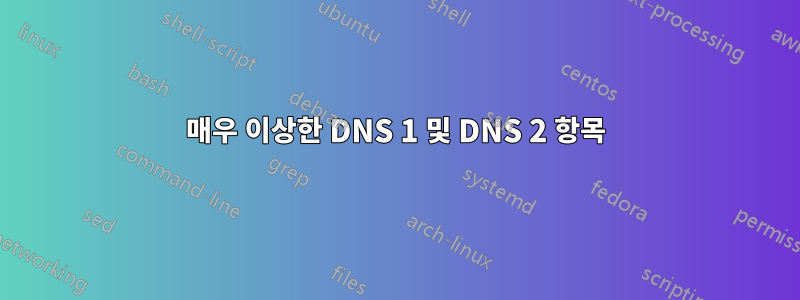 매우 이상한 DNS 1 및 DNS 2 항목