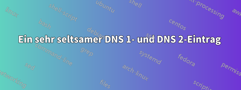 Ein sehr seltsamer DNS 1- und DNS 2-Eintrag