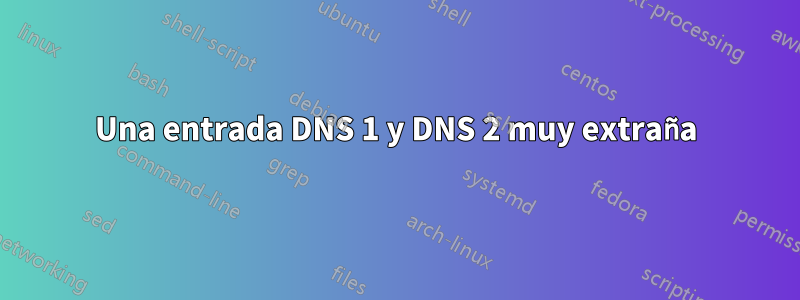 Una entrada DNS 1 y DNS 2 muy extraña