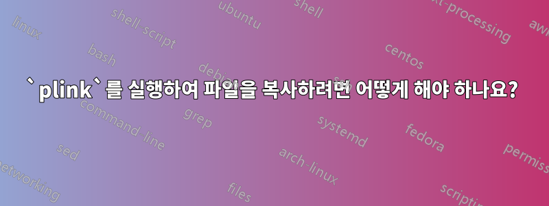 `plink`를 실행하여 파일을 복사하려면 어떻게 해야 하나요?