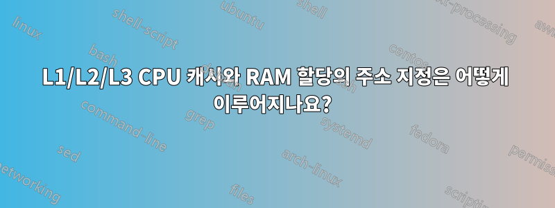 L1/L2/L3 CPU 캐시와 RAM 할당의 주소 지정은 어떻게 이루어지나요? 
