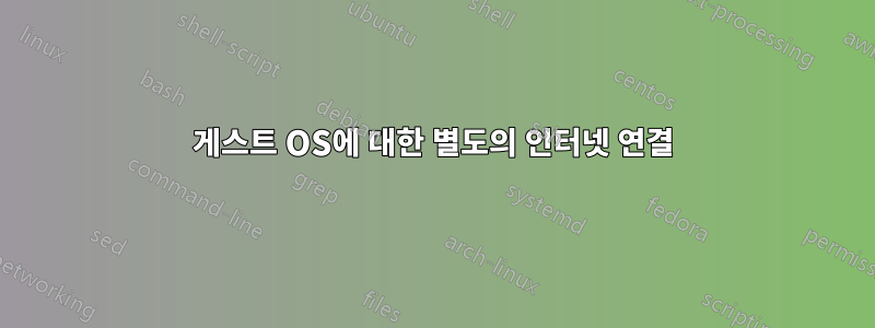 게스트 OS에 대한 별도의 인터넷 연결