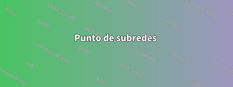 Punto de subredes