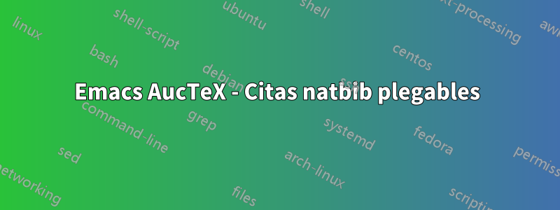 Emacs AucTeX - Citas natbib plegables