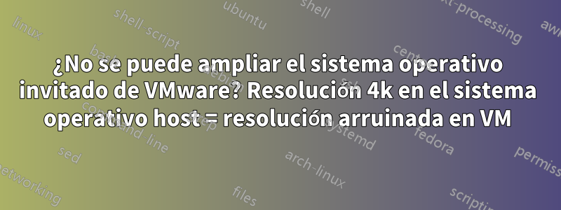 ¿No se puede ampliar el sistema operativo invitado de VMware? Resolución 4k en el sistema operativo host = resolución arruinada en VM