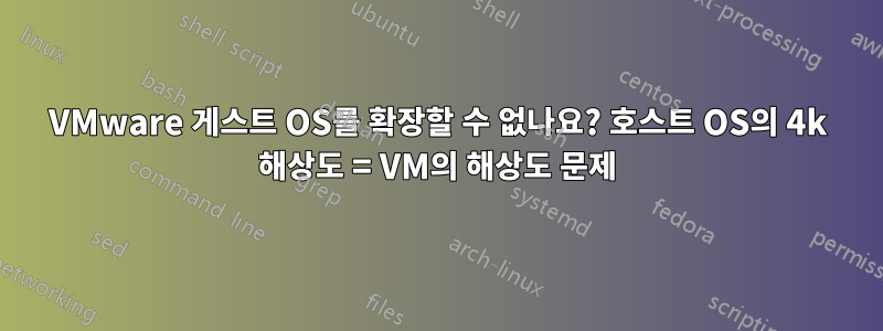 VMware 게스트 OS를 확장할 수 없나요? 호스트 OS의 4k 해상도 = VM의 해상도 문제