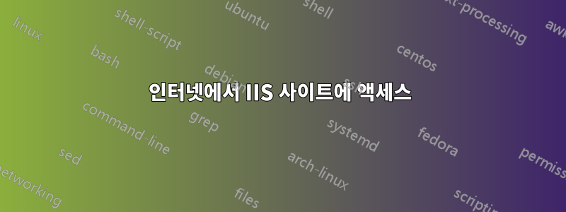 인터넷에서 IIS 사이트에 액세스