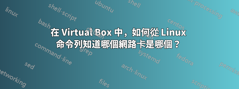 在 Virtual Box 中，如何從 Linux 命令列知道哪個網路卡是哪個？