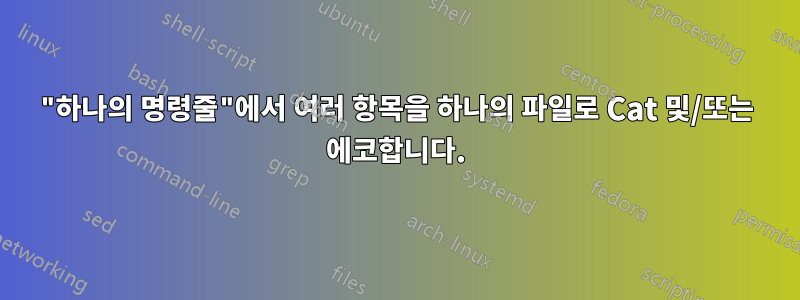 "하나의 명령줄"에서 여러 항목을 하나의 파일로 Cat 및/또는 에코합니다.
