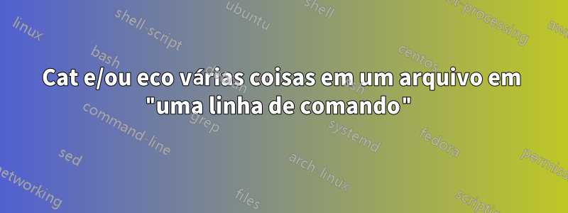 Cat e/ou eco várias coisas em um arquivo em "uma linha de comando"